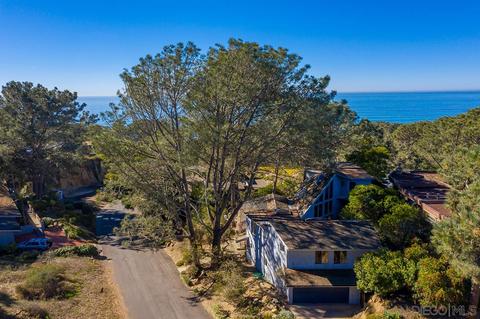390 Hidden Pines Rd, Del Mar, CA 92014 photo 7