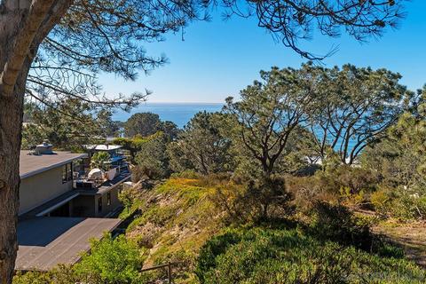 390 Hidden Pines Rd, Del Mar, CA 92014 photo 48