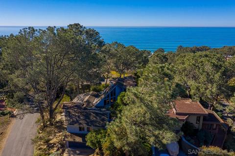 390 Hidden Pines Rd, Del Mar, CA 92014 photo 8