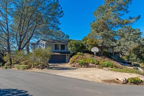 390 Hidden Pines Rd, Del Mar, CA 92014 photo 5