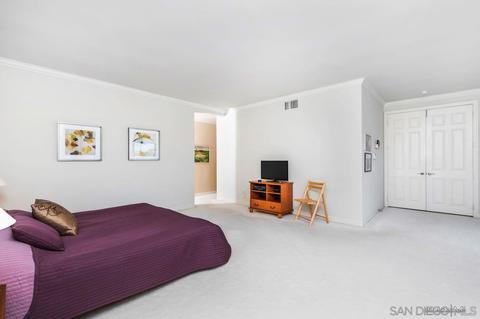 2945 Avocado Pt, Del Mar, CA 92014 photo 41