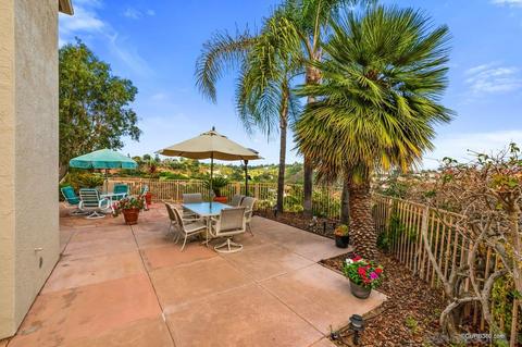2945 Avocado Pt, Del Mar, CA 92014 photo 60
