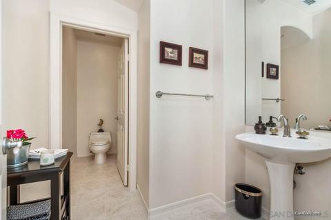 2945 Avocado Pt, Del Mar, CA 92014 photo 46