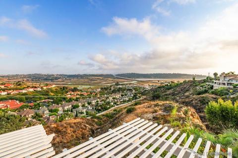 2945 Avocado Pt, Del Mar, CA 92014 photo 23