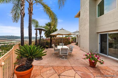 2945 Avocado Pt, Del Mar, CA 92014 photo 64