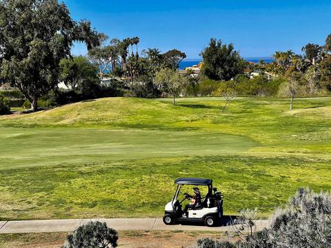 694 Cypress Hills Dr, Encinitas, CA 92024 photo 45