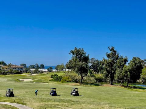 694 Cypress Hills Dr, Encinitas, CA 92024 photo 44