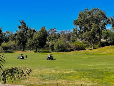 694 Cypress Hills Dr, Encinitas, CA 92024 photo 46
