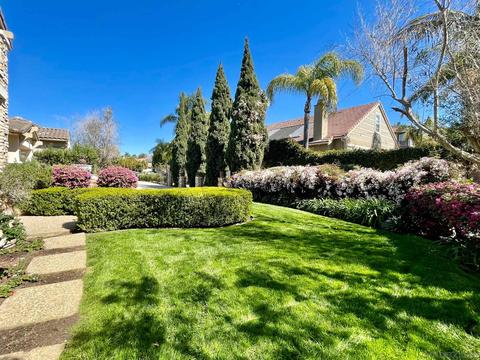 694 Cypress Hills Dr, Encinitas, CA 92024 photo 7