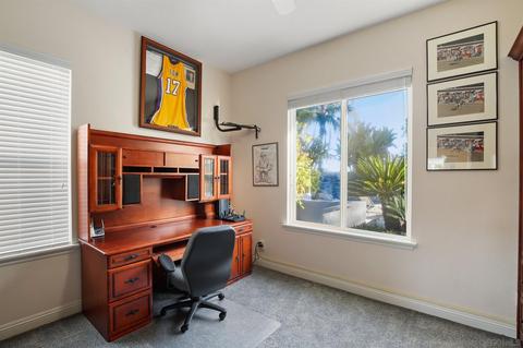3557 Avenida Pantera, Carlsbad, CA 92009 photo 22
