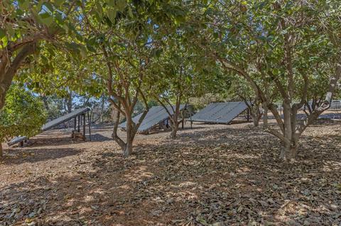 2035 Mango Gln, Vista, CA 92084 photo 70