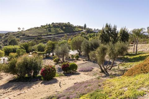 1395 Tierra Roja Dr, Fallbrook, CA 92028 photo 39