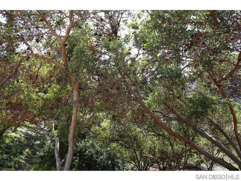 1452 Caminito Solidago, La Jolla, CA 92037 photo 28