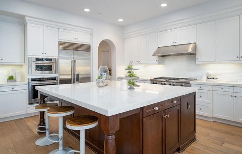 7229 Sitio Lima, Carlsbad, CA 92009 photo 5