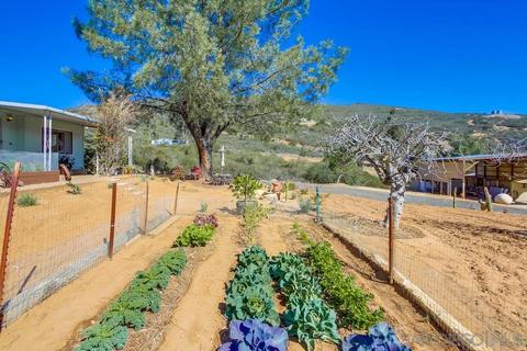 15924 Lawson Valley Rd, Jamul, CA 91935 photo 14