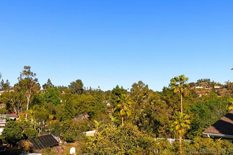 4420 Bomar Dr, La Mesa, CA 91941 photo 34