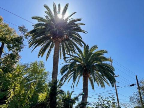 2090 Alexander Dr, Escondido, CA 92025 photo 5