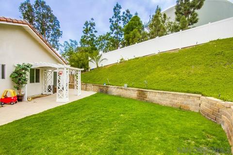 4195 E Arrieta Cir, La Mesa, CA 91941 photo 53