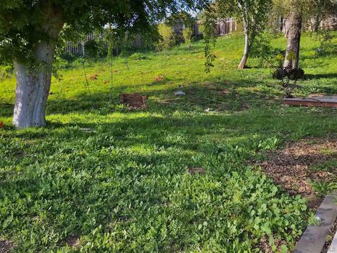 1393 Mclane Ln, Escondido, CA 92026 photo 10