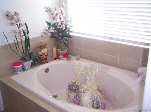 685 E Lexington Ave, El Cajon, CA 92020 photo 11