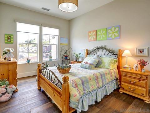 2972 Firebrand Dr, Alpine, CA 91901 photo 15