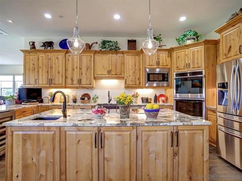 2972 Firebrand Dr, Alpine, CA 91901 photo 8