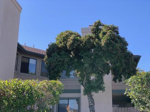 2906 Alwood Ct, Spring Valley, CA 91978 photo 21