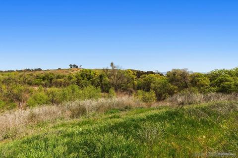 5926 Rio Valle Dr, Bonsall, CA 92003 photo 32