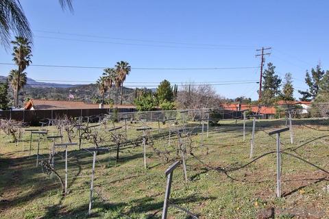 2955 Scenic View Rd, Alpine, CA 91901 photo 48
