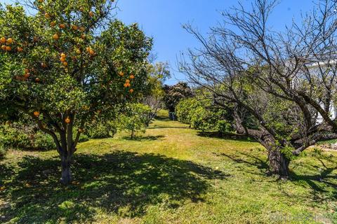2465 Reill View Dr, Escondido, CA 92025 photo 29