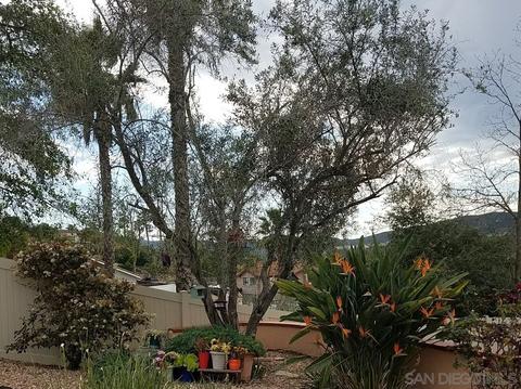822 Chateau Pl, Escondido, CA 92029 photo 48