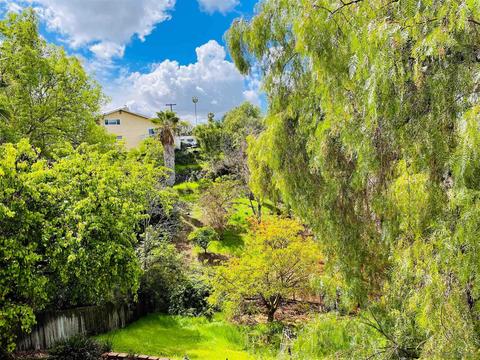 9353 Carmicheal Dr, La Mesa, CA 91941 photo 20