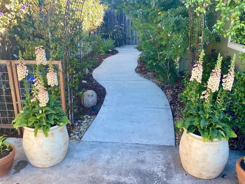 4725 Normandie Pl, La Mesa, CA 91942 photo 9