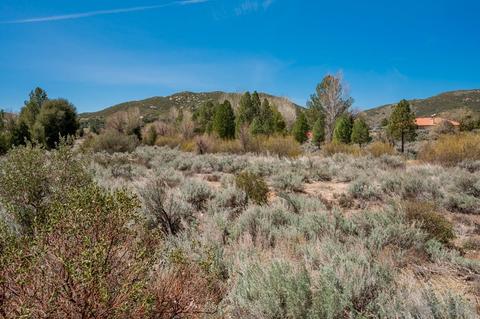 8464 Valley View Trl, Pine Valley, CA 91962 photo 29