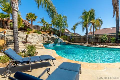 10695 Susie Pl, Santee, CA 92071 photo 58