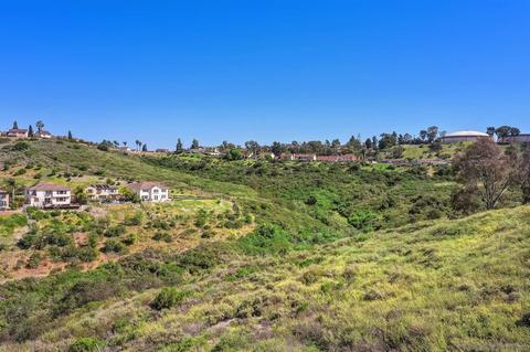 1292 Panorama Ridge Rd, Oceanside, CA 92056 photo 46