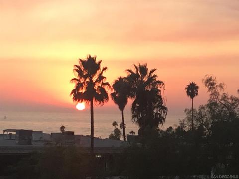 7452 Draper Ave, La Jolla, CA 92037 photo 43