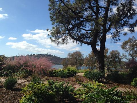 5710 Baltimore Dr #433, La Mesa, CA 91942 photo 24