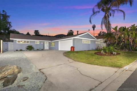 10416 Fairhill Dr, Spring Valley, CA 91977 photo 31