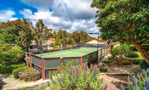 1750 Shadow Mountain Dr, Encinitas, CA 92024 photo 24