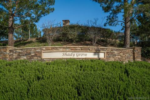 309 William Pittenger Pl, Fallbrook, CA 92028 photo 33
