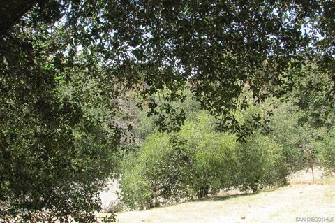 2853 Payson Dr, Julian, CA 92036 photo 14