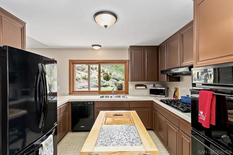 1565 Juniperhill Dr, Encinitas, CA 92024 photo 17