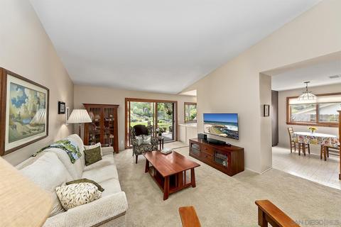 1565 Juniperhill Dr, Encinitas, CA 92024 photo 20
