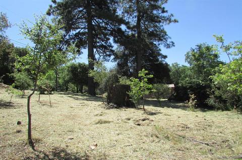 2826 Heliotrope Dr, Julian, CA 92036 photo 5