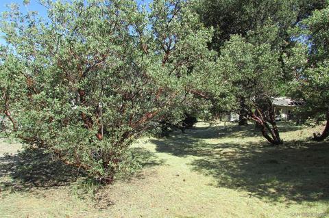 2826 Heliotrope Dr, Julian, CA 92036 photo 4