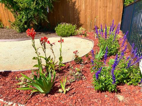 2546 Algiers St, Escondido, CA 92027 photo 18