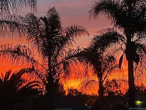 2546 Algiers St, Escondido, CA 92027 photo 56