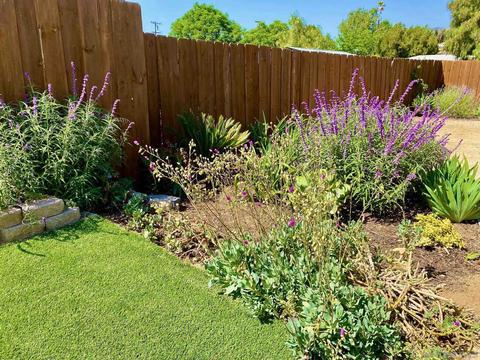 2546 Algiers St, Escondido, CA 92027 photo 13