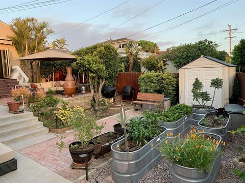 5714 Waverly Ave, La Jolla, CA 92037 photo 5